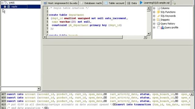 Running SQL Script WIN смотреть онлайн