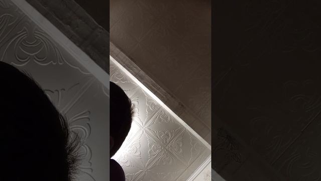 Загадочная Поваренная Книга