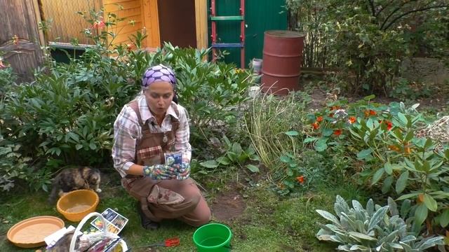 Посадка луковичных цветов. Ландшафтный дизайн с цветами. смотреть онлайн