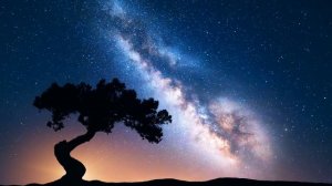 Летняя ночь, звук сверчков для расслабления. Черный экран для ночника