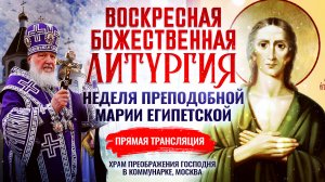 ВОСКРЕСНАЯ БОЖЕСТВЕННАЯ ЛИТУРГИЯ. НЕДЕЛЯ ПРЕПОДОБНОЙ МАРИИ ЕГИПЕТСКОЙ