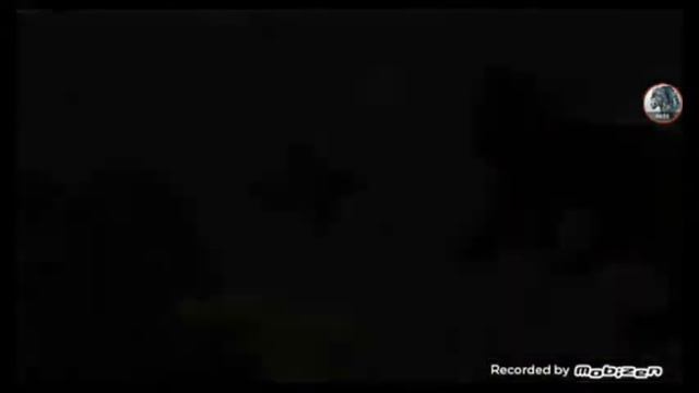 Коты Воители История Айки смотреть онлайн