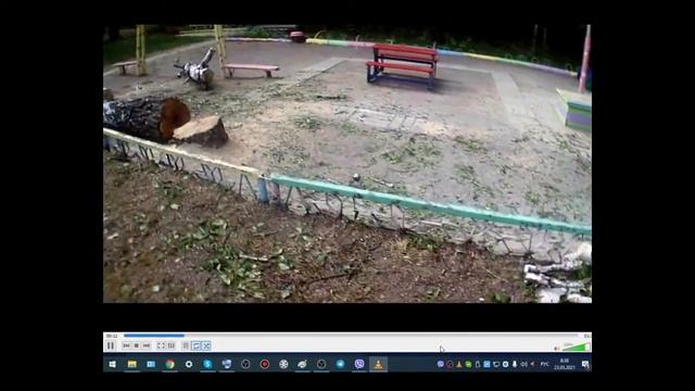 Как заготовить бересту для плетения русских лаптей в... смотреть онлайн