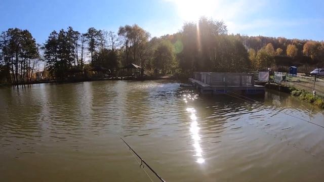 МИСАЙЛОВО TROUT. Трудовая рыбалка в октябре смотреть онлайн