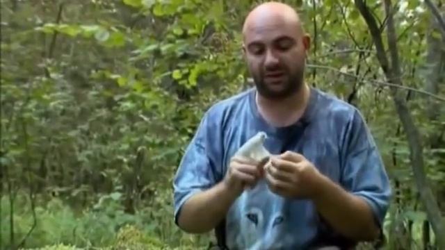 Укус змеи / укус гадюки что делать смотреть онлайн