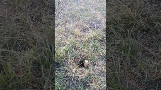 Как работают коммунальные службы города Хойники. смотреть онлайн