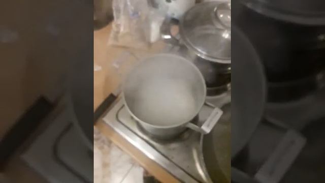 Дачный блог DZgas #25 | овсянка смотреть онлайн