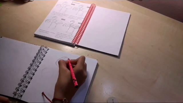Мой блокнот ? Sketch Book ?рисунки животных ? рисуем фламинго ?❣️ смотреть онлайн