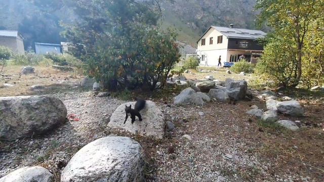 Ущелья Адыл-Су и Адыр-Су в сентябре 2023 смотреть онлайн