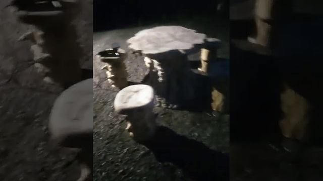 история одного дерева, каповый клён, идеальная композиция смотреть онлайн