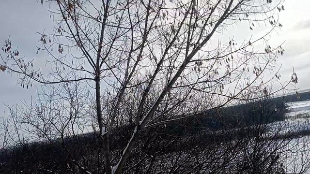 Уфа нагаевский мост смотреть онлайн