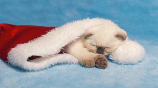 Легкая Успокаивающая Музыка для Души, Расслабляющая Успокаивающая Музыка для Сна и Медитации смотреть онлайн