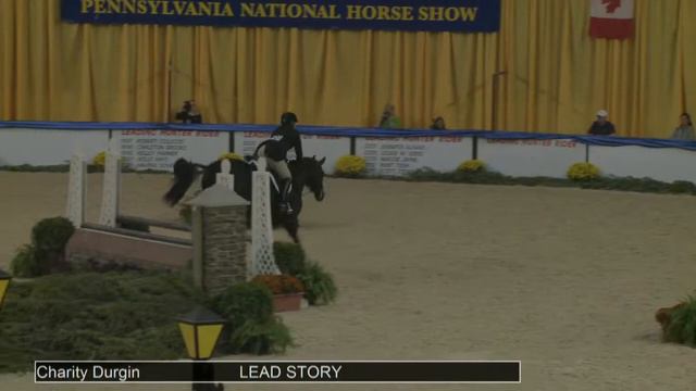 900 LEAD STORY Charity Durgin, Class 231 NAL Adult Hunter Finals смотреть онлайн