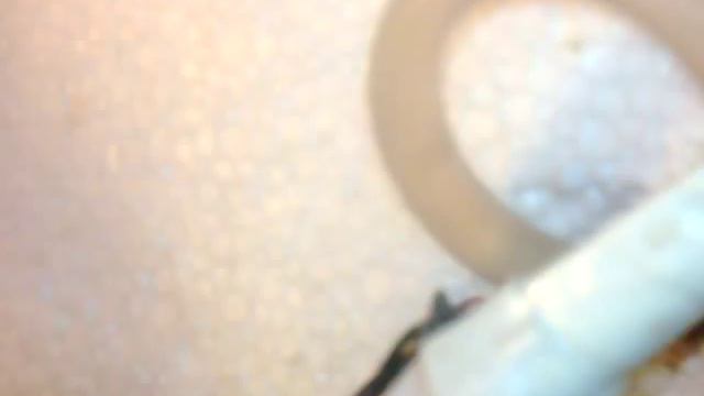 перепела разведения собственными руками .mp4 смотреть онлайн