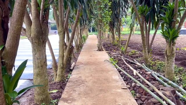 Crops of Java - AMAZING SUBANG FARM Tour Long Version смотреть онлайн