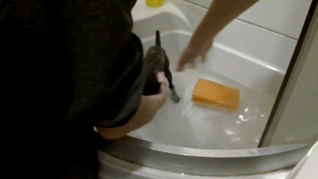 КАК ПОМЫТЬ СОБАКУ-ТОЙ ТЕРЬЕР смотреть онлайн