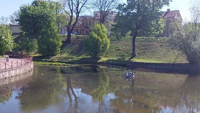 Что посмотреть в Гродно туристу за 1 день. Подробный обзор. смотреть онлайн