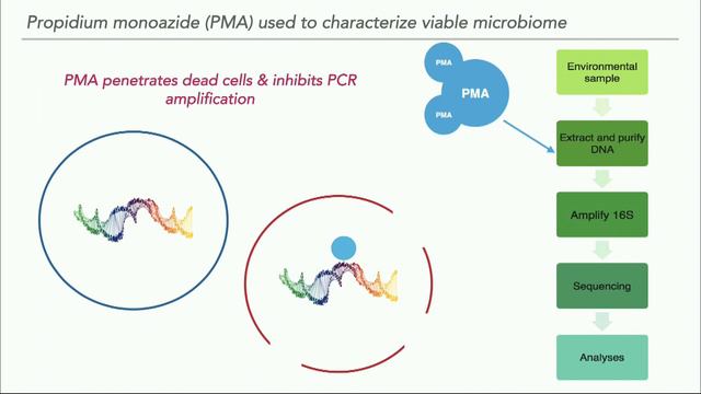 Jessica Green MoBE speaker смотреть онлайн