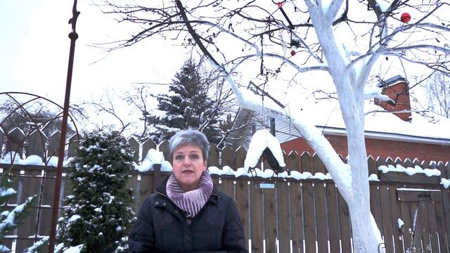 Не кормите птиц ЭТИМ! смотреть онлайн