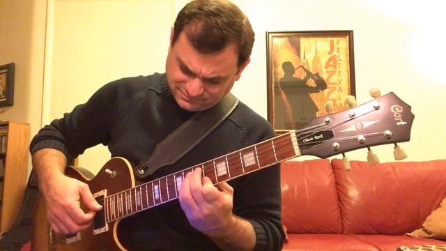 ‘Round Midnight Joe Weinberg - Cort CR300