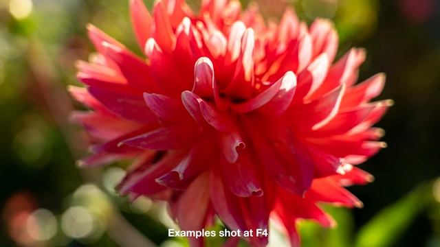 Sony FE 24-105mm F4 G OSS Review - The Best Sony all in one lens? смотреть онлайн