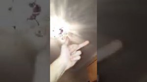 Ответ соседям за то что громко слушали музыку.