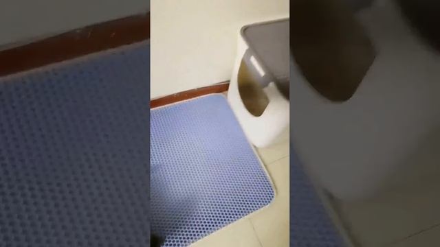 Непромокаемый коврик для кошачьего туалета: смотреть онлайн