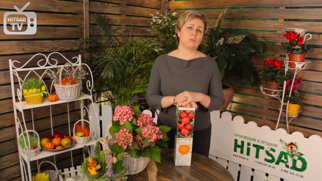 Гранат комнатный ➡ Как вырастить гранат дома? ? Полезные советы HitsadTV