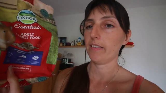 Vlog Bunny-sitting #2 смотреть онлайн