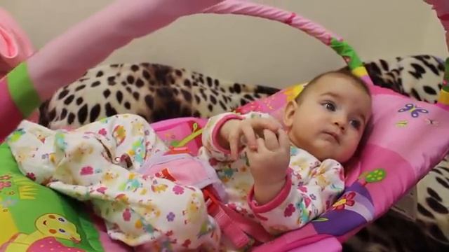 VLOG Алиса испугалась, что её украдут. Отдали стенку Даше