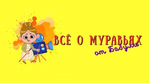 Всё о муравьях для детей и их родителей или как устроен муравейник и можно ли держать дома муравьев