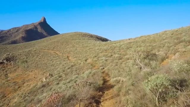 Колесниковы// У Светы даже зад рад...// Обзор видео// смотреть онлайн