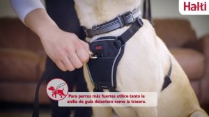 Шлейка для собак - отучающая тянуть Halti No Pull Harness