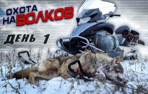 охота на волков! день первый.добыл матерого волка