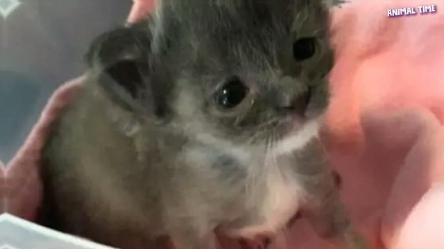 Семья купила лодку и пригнала ее к домой, они были ПОТРЯСЕНЫ тем, что НАШЛИ внутри… смотреть онлайн
