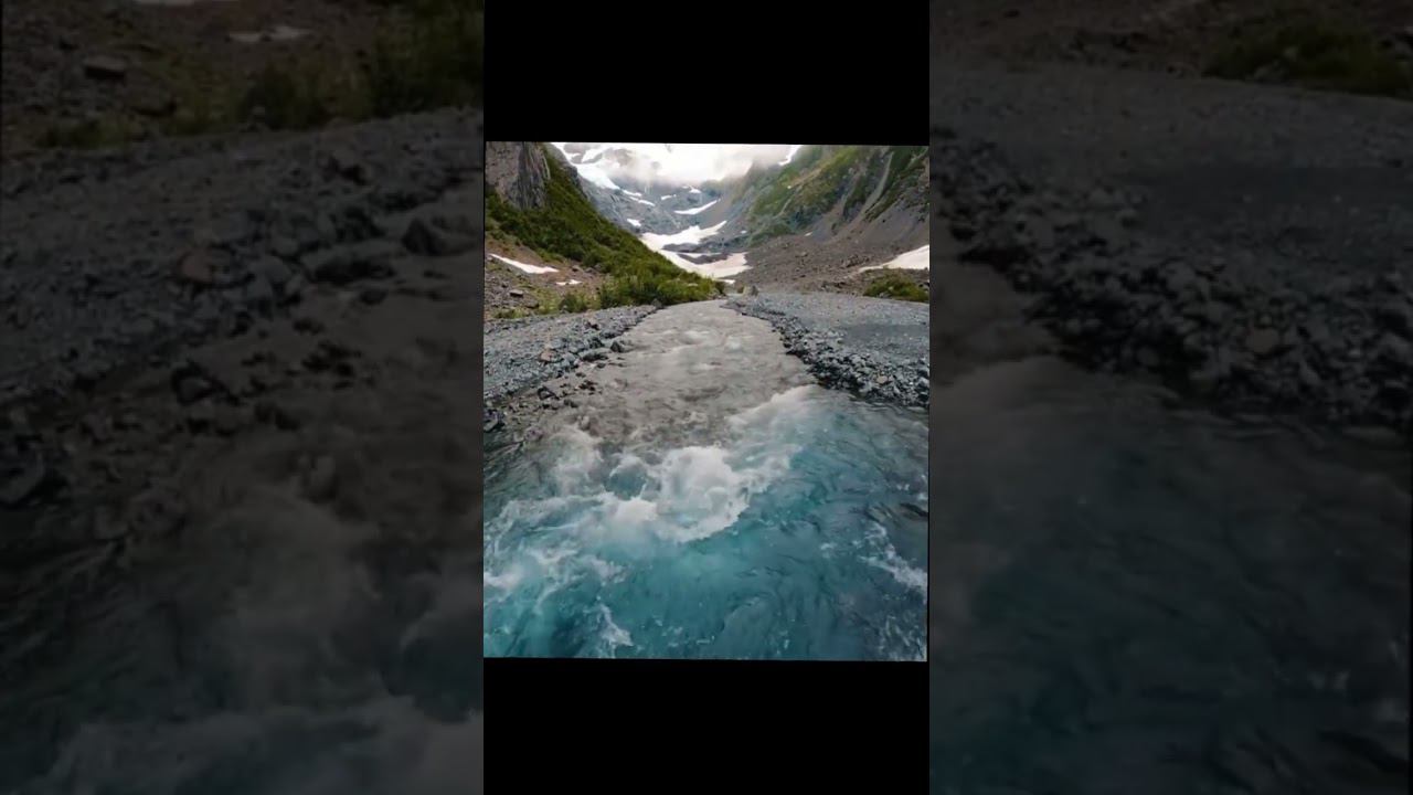 Творец всевидящий (стихи)