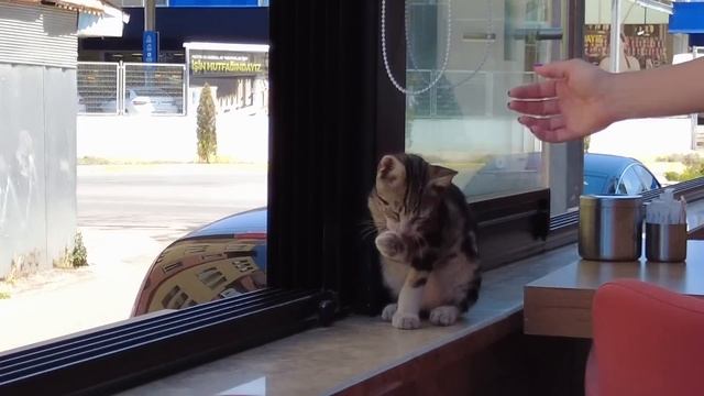 День рождения Артема Пынзарь ,что подарили родители. смотреть онлайн