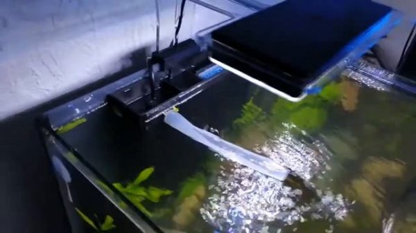 Barbus Filter 032 БИО-Комплекс. Обзор. Отзывы. Опыт эксплуатации.