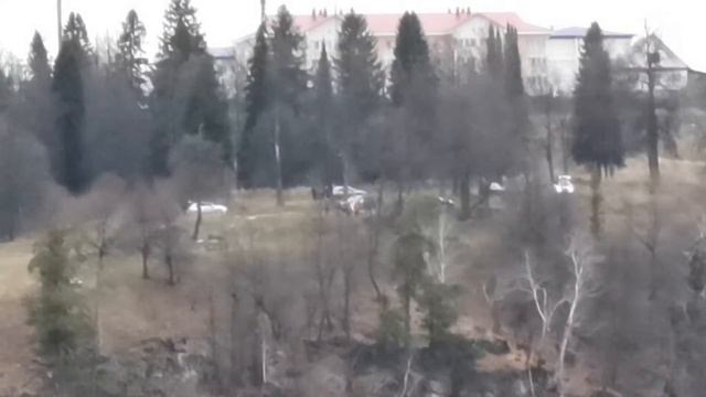 Тещин язык. Ракетница смотреть онлайн