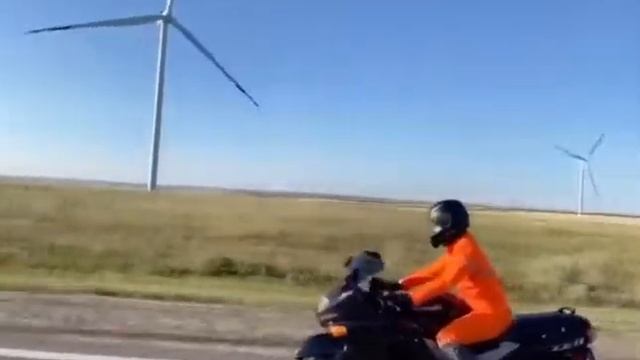 Поездка в Сочи смотреть онлайн