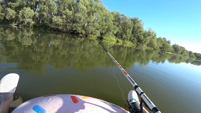НАКАЧАЛА КРУГ И ПОПЛЫЛА НА РЫБАЛКУ ПО РЕКЕ смотреть онлайн