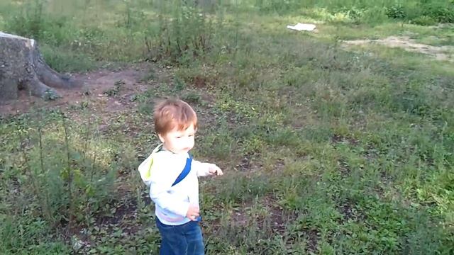 Пеньки 2 смотреть онлайн