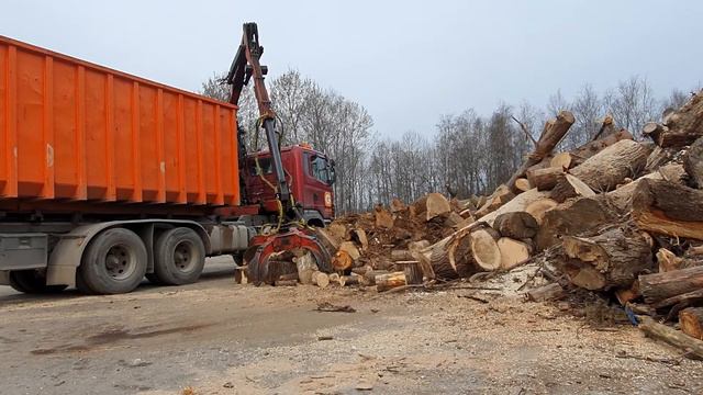 Обрезка плодовых деревьев в Таллинне. смотреть онлайн