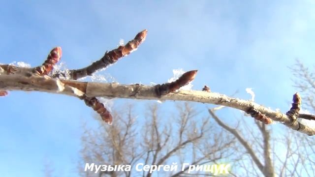 СБОРНИК МУЗЫКИ ДЛЯ ДУШИ,,ВЕЧНОСТЬ,,Музыка Сергей Грищук COLLECTION OF MUSIC FOR THE SOUL,, ETERNIT смотреть онлайн