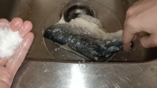 Автомобильные Приключения