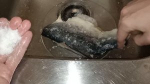 Как быстро посолить Палтус за 12 часов | 2 часа засолить горбушу красную рыбу