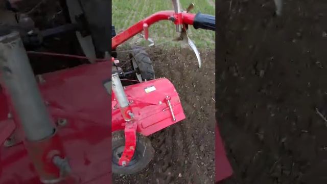 Фрезеровка почвы с помощью мотоблока "Forte" и лёгкость в управлении тяжёлым мотоблоком смотреть онлайн