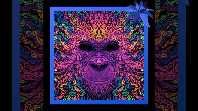 Groovy смотреть онлайн
