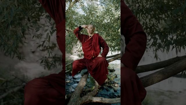 Qi Gong On A Tree