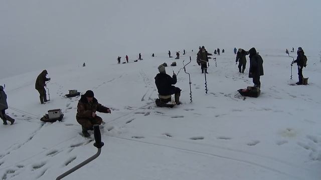 Ловля Судака на балансир! смотреть онлайн
